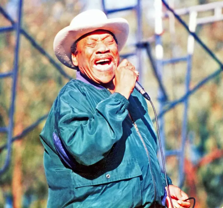 Bobby “Blue” Bland photo