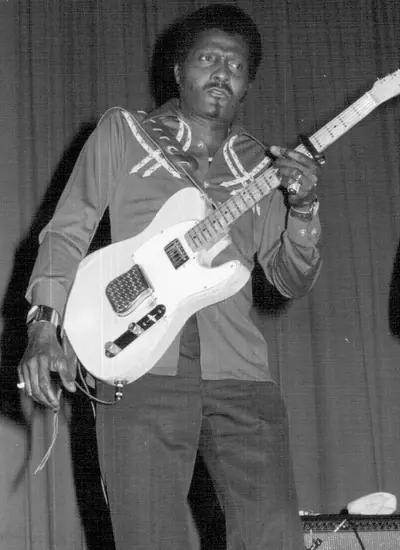 Albert Collins photo