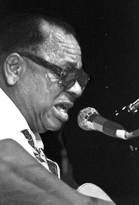 Big Joe Williams photo